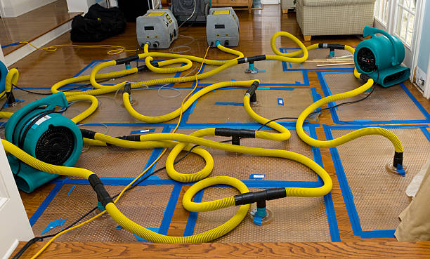 Professional Crawl Space Water Removal technician working in Alpine, TX
